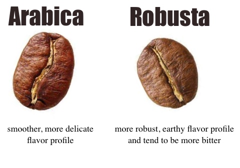 Arabica-vs-Robusta-flavor-profile